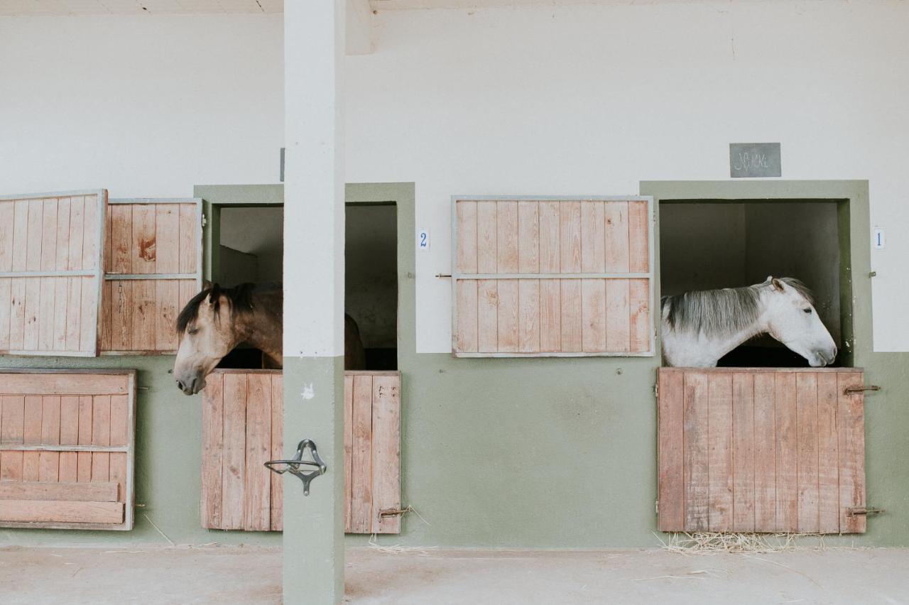 Quinta Do Pinheiro Hotel E Eventos By Grupo Quinta Dos Lagos Valado de Frades Zewnętrze zdjęcie