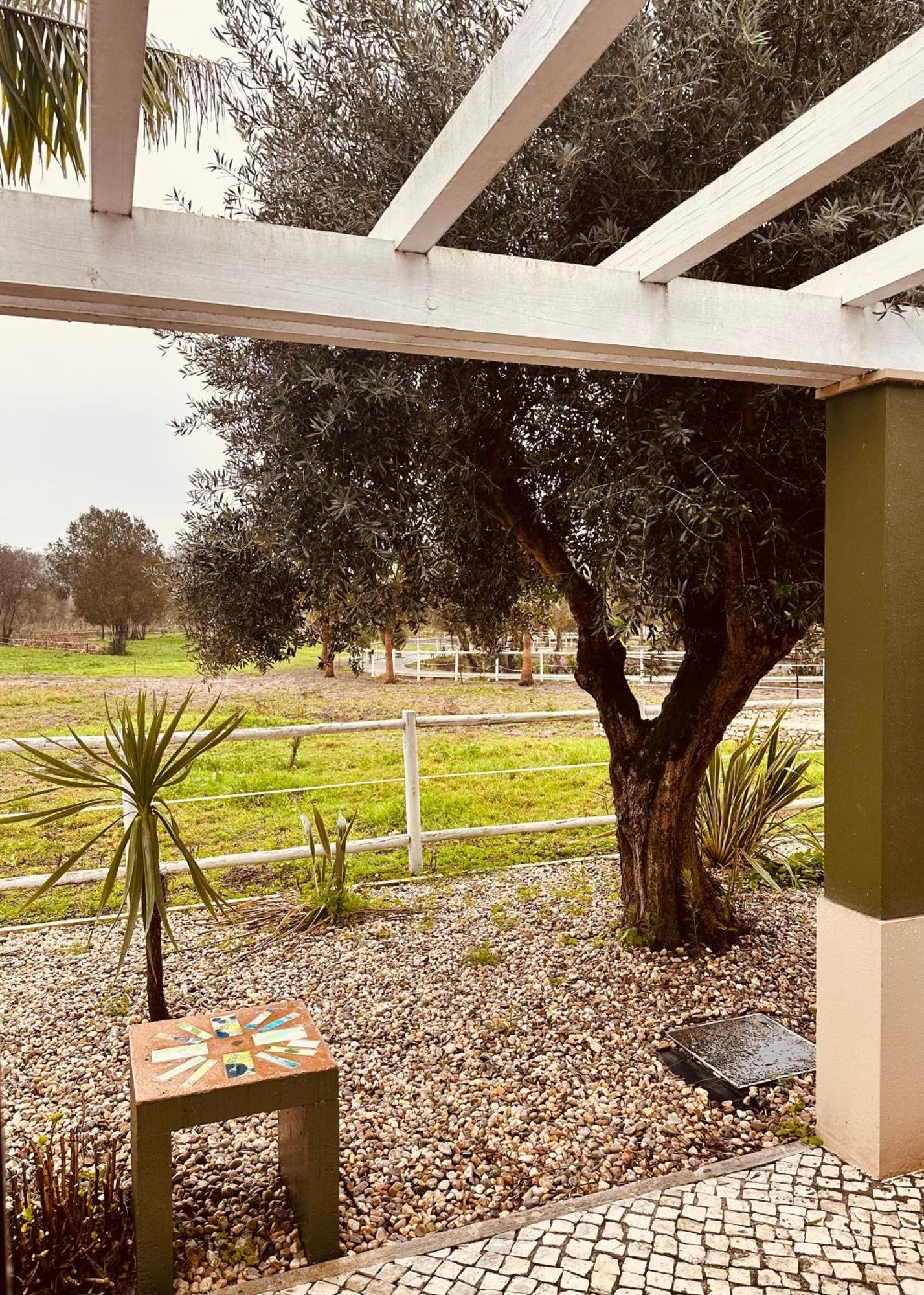 Quinta Do Pinheiro Hotel E Eventos By Grupo Quinta Dos Lagos Valado de Frades Zewnętrze zdjęcie