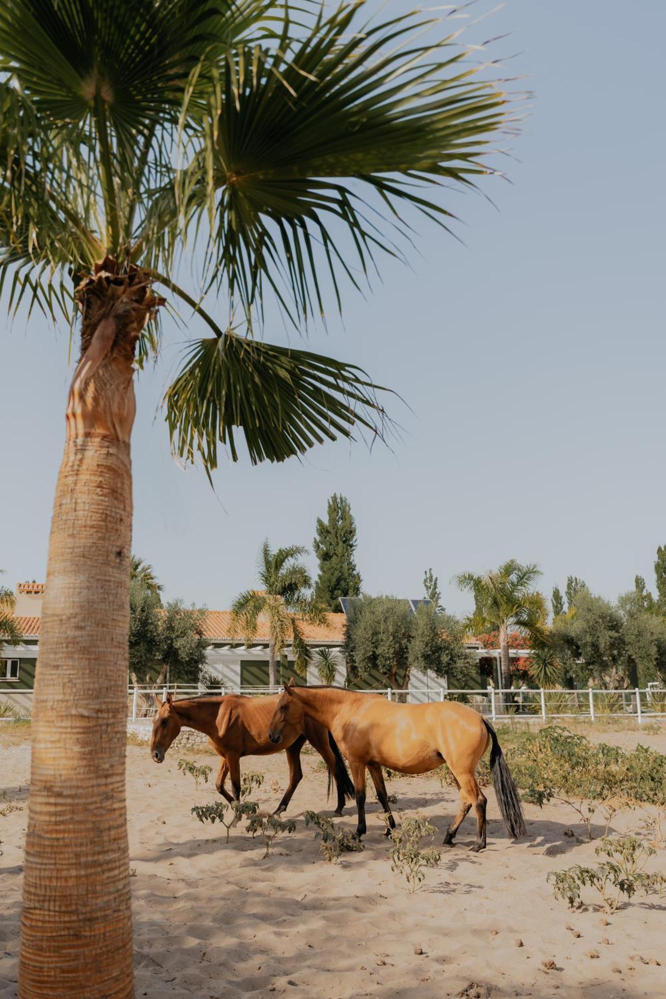 Quinta Do Pinheiro Hotel E Eventos By Grupo Quinta Dos Lagos Valado de Frades Zewnętrze zdjęcie