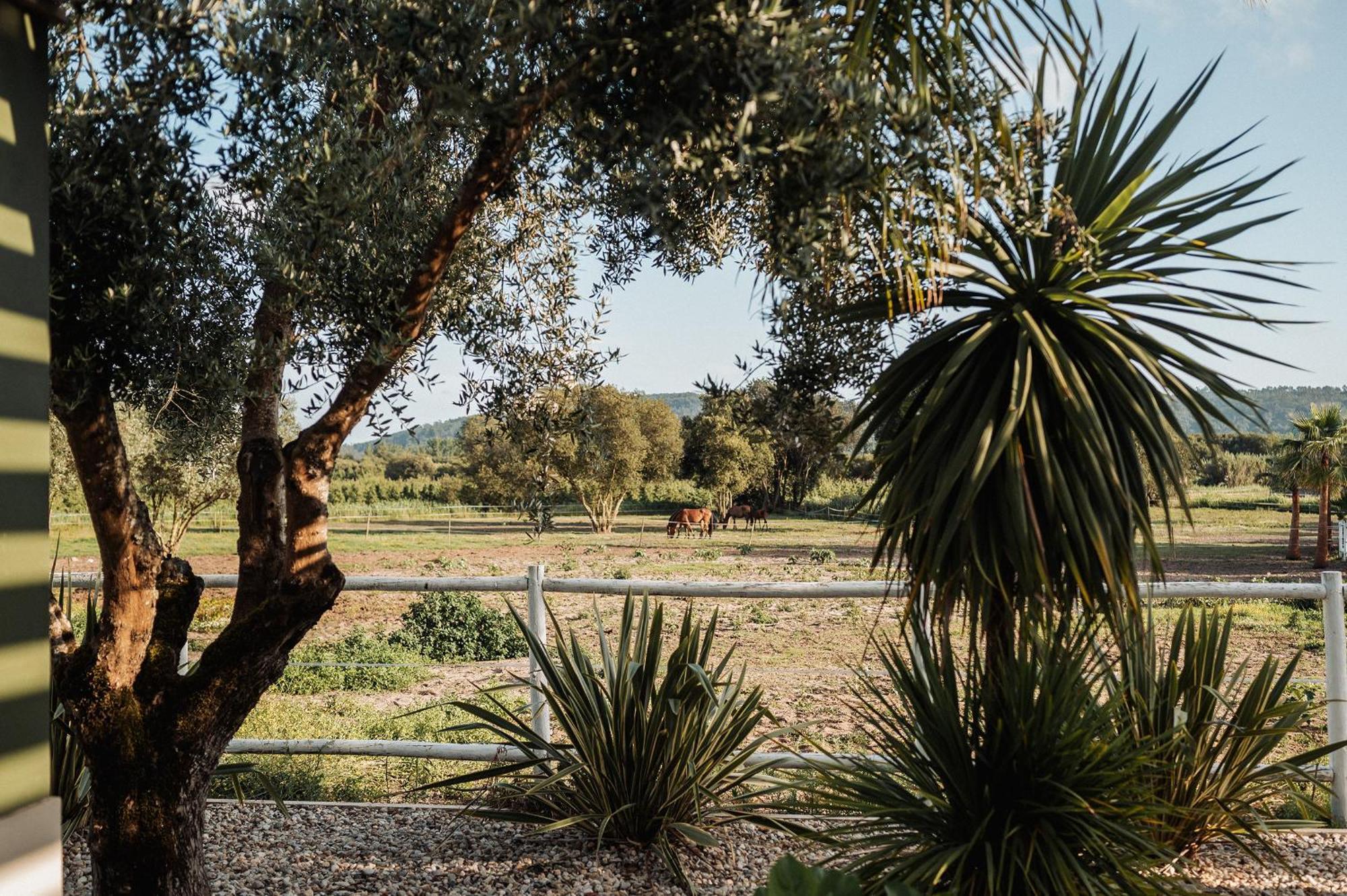 Quinta Do Pinheiro Hotel E Eventos By Grupo Quinta Dos Lagos Valado de Frades Zewnętrze zdjęcie